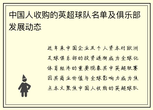 中国人收购的英超球队名单及俱乐部发展动态